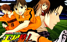 Паладин на поле