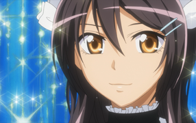 Президент учсовета - горничная!