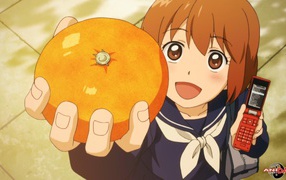 Серебряный лис