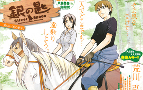 Серебряная ложка