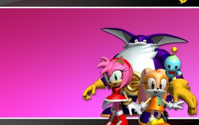 Герои Соник