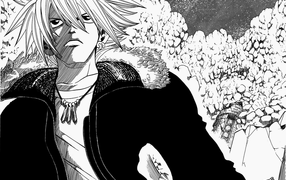 Рэйв Мастер