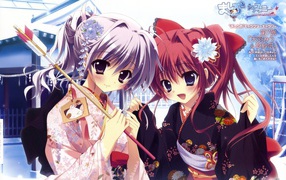 Буйство цветов