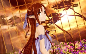 Молчаливая Морита