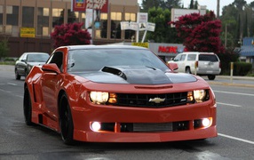 Chevrolet cars muscle car vehicles wallpaper