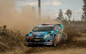 Форд на гонках по пересеченной местности