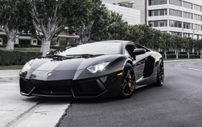 	 Lamborghini on the street