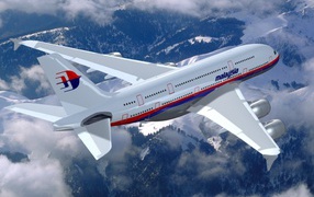 Самолет летит в Малайзию