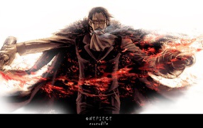 Мультфильм One Piece