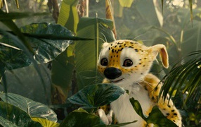 Марсупилами