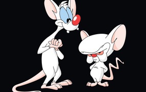 Пинки и Брейн