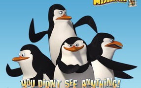 Пингвины из Мадагаскара