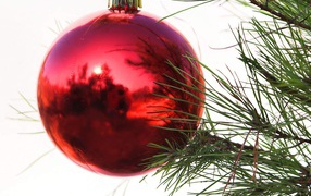 Красный шар на ёлке на рождество