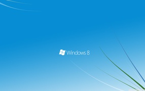 Windows 8 grass theme