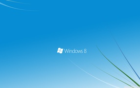 Windows 8 простая тема с травинками