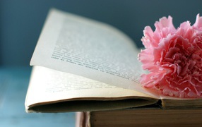 Flower on the book