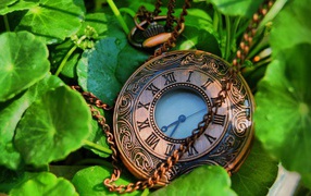 Карманные часы с цепочкой