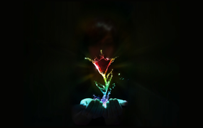 Водяной цветок в руках