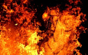 Год огненной лошади