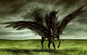 Лошадь пегас