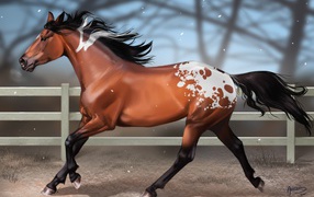 Мустанг лошадь