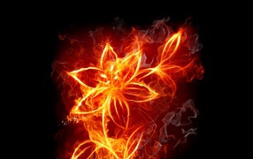 Fentesi Fire flower