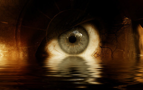 Человеческий глаз