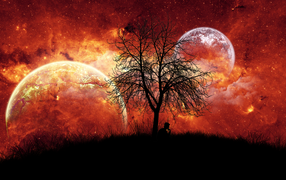 Человек под фантастическим небом