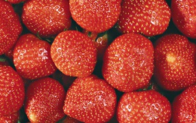 Фон из клубники