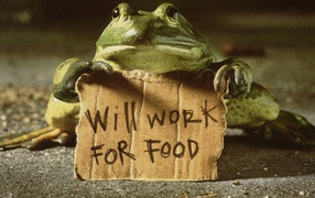 Frog with a sign