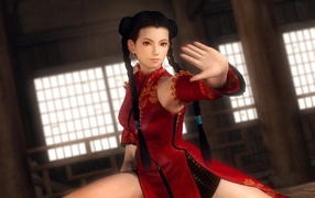 Dead or Alive 5 