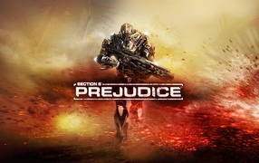 Section 8 Prejudice