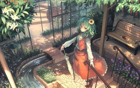 Видео игра вода Touhou