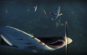 War Thunder the plane with jaws