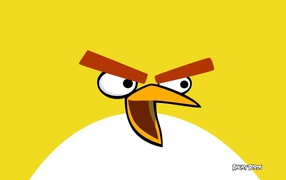 Yellow bird from Angry Birds