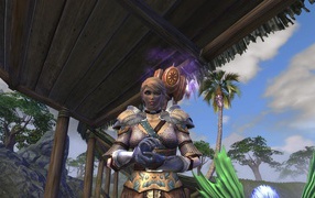 Девушка воин из видео игры