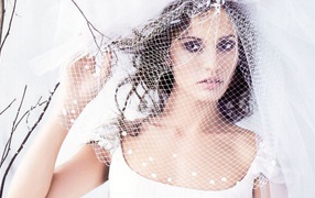 Леонор под вуалью