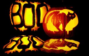 Хэллоуин испуганный кот