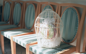 Свадебный подарок в белой клетке