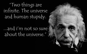 	 Albert Einstein