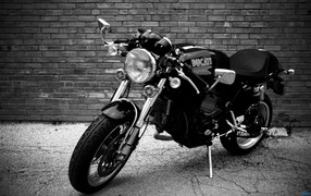 Ducati Sport Classic 1000