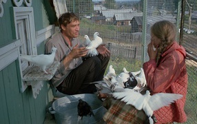 Любовь и голуби