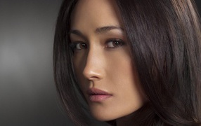Maggie Q актриса