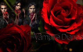 Move The Vampire Diaries