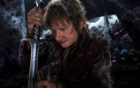 Хоббит: Пустошь Смауга Бильбо 