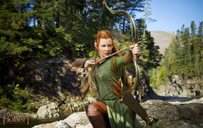 Хоббит: Пустошь Смауга Тауриэль