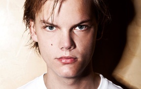 Лучший ди-джей Avicii