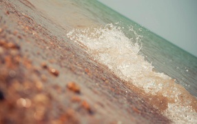 Волна у пляжа
