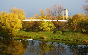 The bridge in autumn park