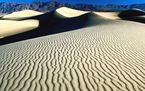 Дюны и барханы в пустыне